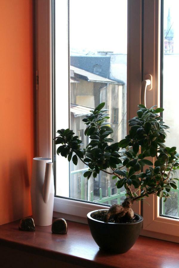 Apartament Stare Podgórze Apartment